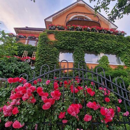 Villa Victoria Łeba Exterior foto